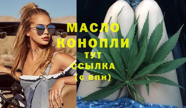 индика Ельня