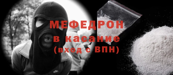 индика Ельня