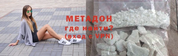 индика Ельня