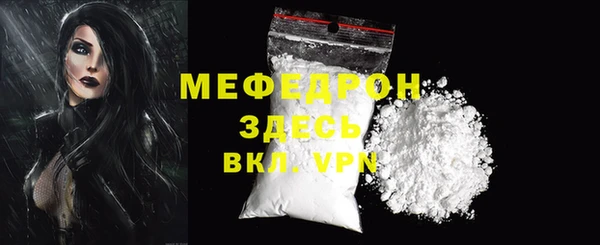 индика Ельня