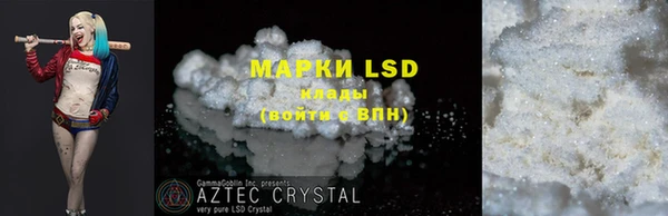 индика Ельня