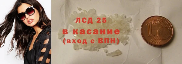 индика Ельня