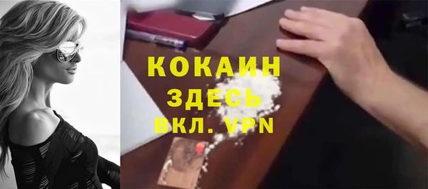 стафф Елизово