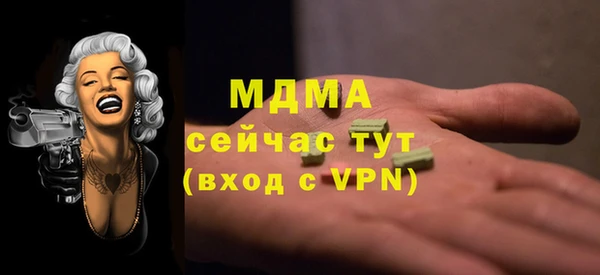 индика Ельня