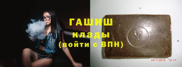 индика Ельня