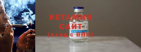 индика Ельня