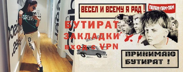 индика Ельня