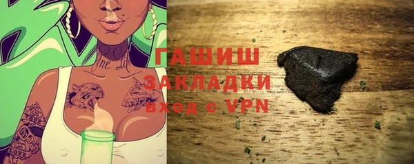 индика Ельня