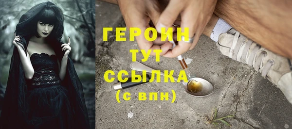 индика Ельня