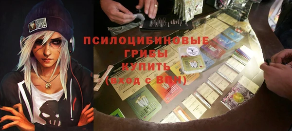стафф Елизово