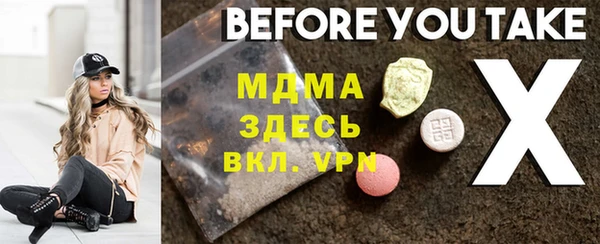 индика Ельня