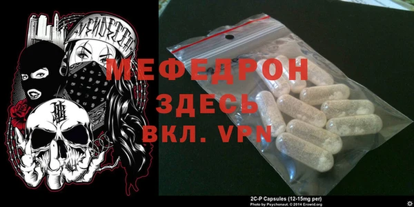 индика Ельня