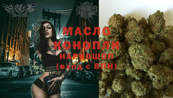 индика Ельня