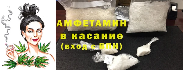 индика Ельня