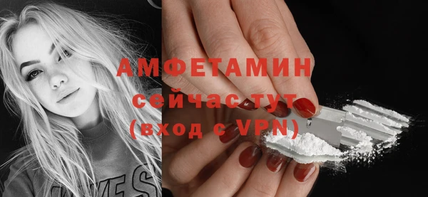 стафф Елизово