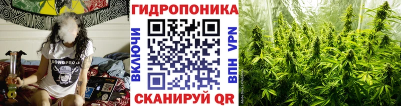 Каннабис конопля Невинномысск